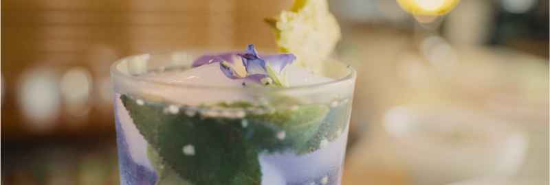 Wellness Bar