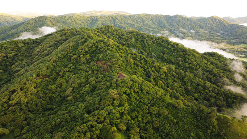 Best Seasons in Costa Rica: Green season or dry season? (It’s based on the experience you want)