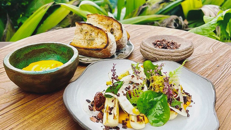 A Plant-Based Experience: The Invitation